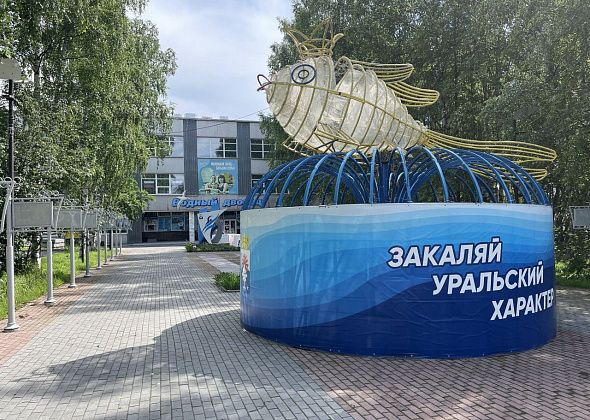 Пловцы из Краснотурьинска привезли медали с первенства Серовского округа