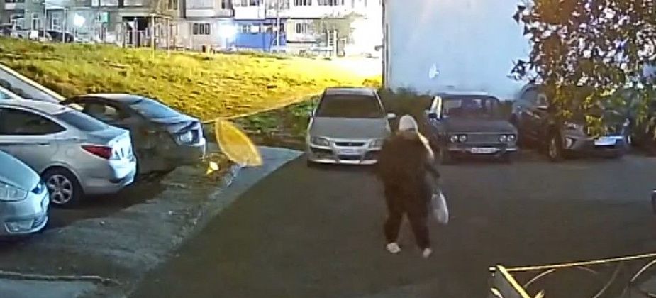 Горожанку пристыдили в соцсетях за выброшенный мусор. Она исправилась