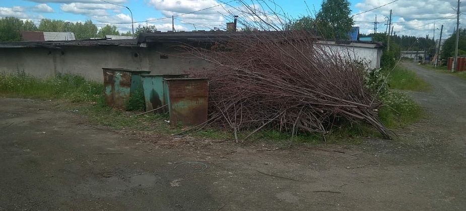 Старые ветки не вывозят с мусорок. В дело вмешалась даже прокуратура Краснотурьинска, впереди  – суд