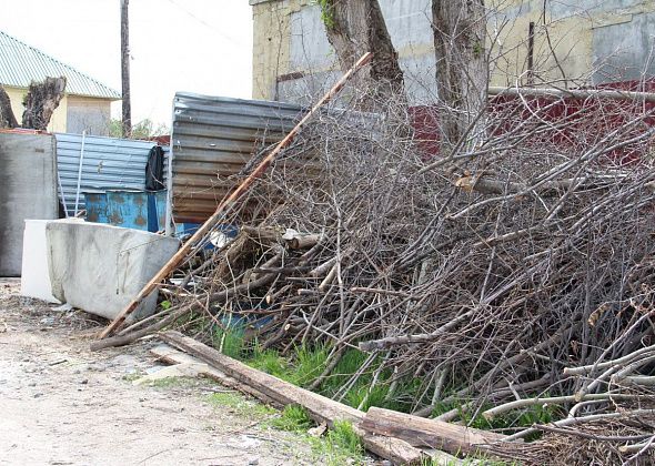 На вывозе веток с мусорок можно заработать миллион рублей