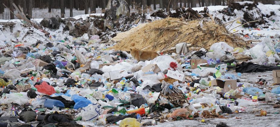 Срок службы мусорного полигона - еще 5-7 лет. Есть потребность в новом