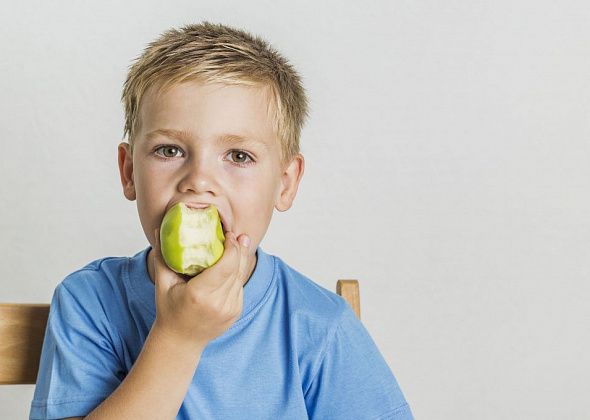 Нашли подрядчика для организации питания детей