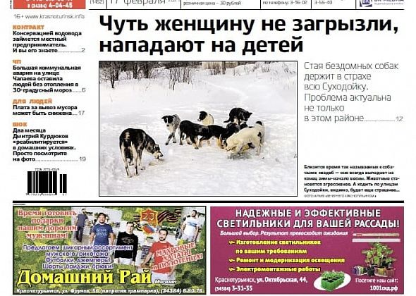 Собаки нападают на людей, врачам не доплачивают, а чиновников оштрафовали. Обо всем – в свежей «Вечерке»