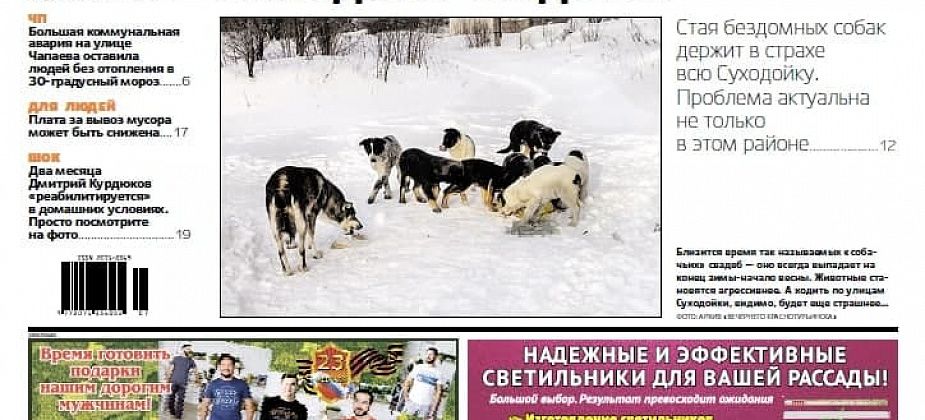 Собаки нападают на людей, врачам не доплачивают, а чиновников оштрафовали. Обо всем – в свежей «Вечерке»