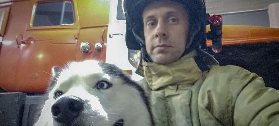 Краснотурьинца избили за замечание на выгул собаки без поводка