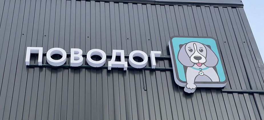 В Краснотурьинске открыли первый в России бесплатный ветеринарный центр. Что в нем есть