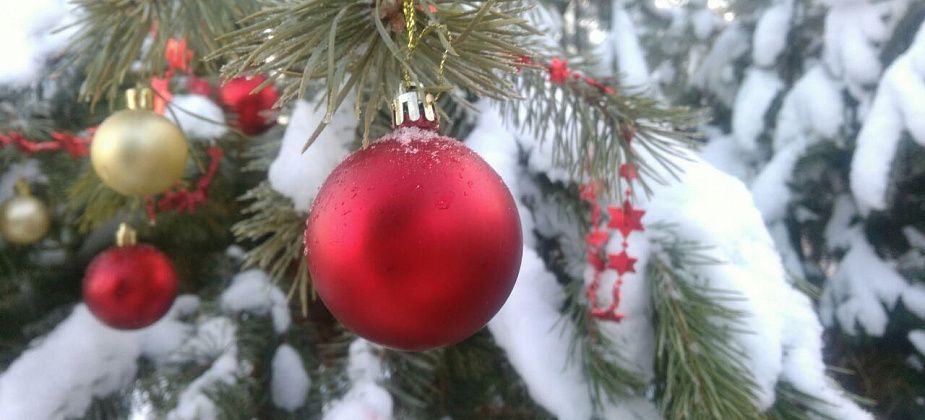 В Краснотурьинске провели новогогдние турниры по шашкам, шахматам и бильярду