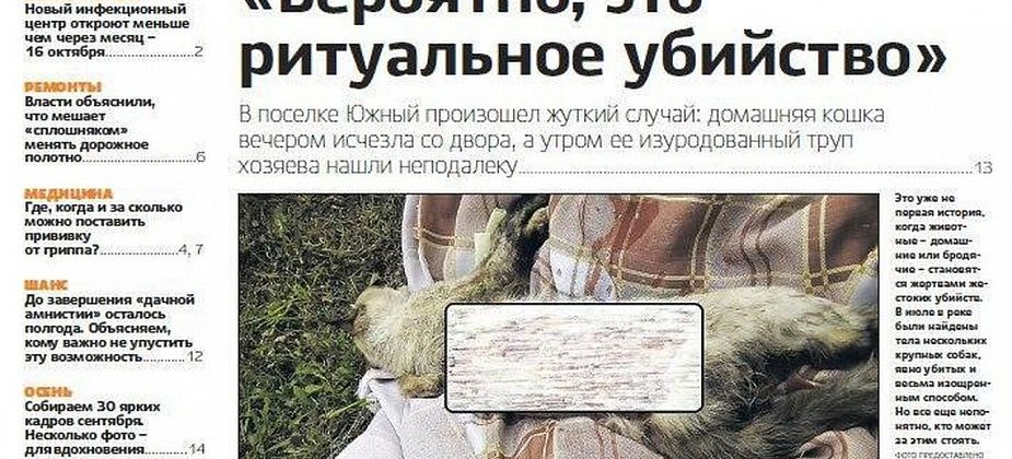 Зверское убийство домашней кошки, новогодний городок будет космическим, что такое «дачная амнистия», где привиться от гриппа  – завтра выходит новая «Вечерка»