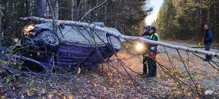 Двое погибли в результате ДТП на дороге Старая Сама – Маслово