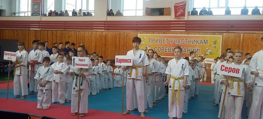 88 каратистов выяснили на соревнованиях в Краснотурьинске, кто сильней