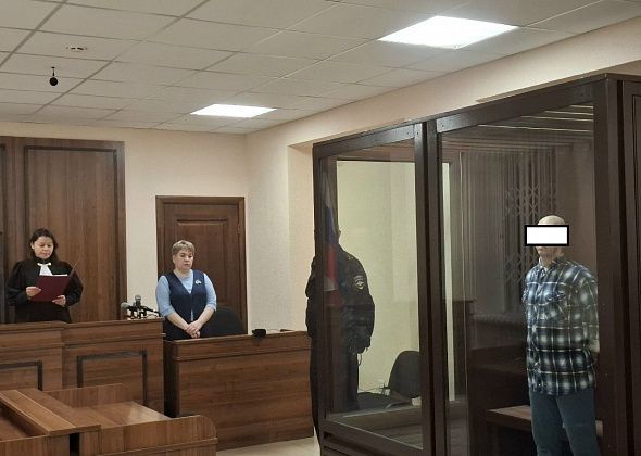 Горожанин осужден на 10 лет за выращивание и сбыт конопли