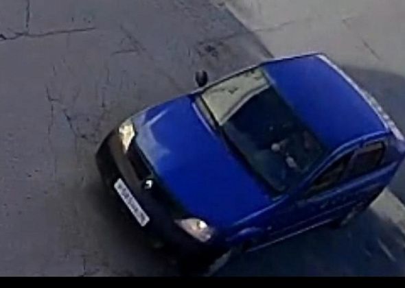 Горожанин хочет привлечь к ответственности водителя, задавившего его собаку Еву