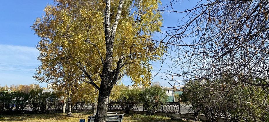 Синоптики прогнозируют сухую и прохладную погоду