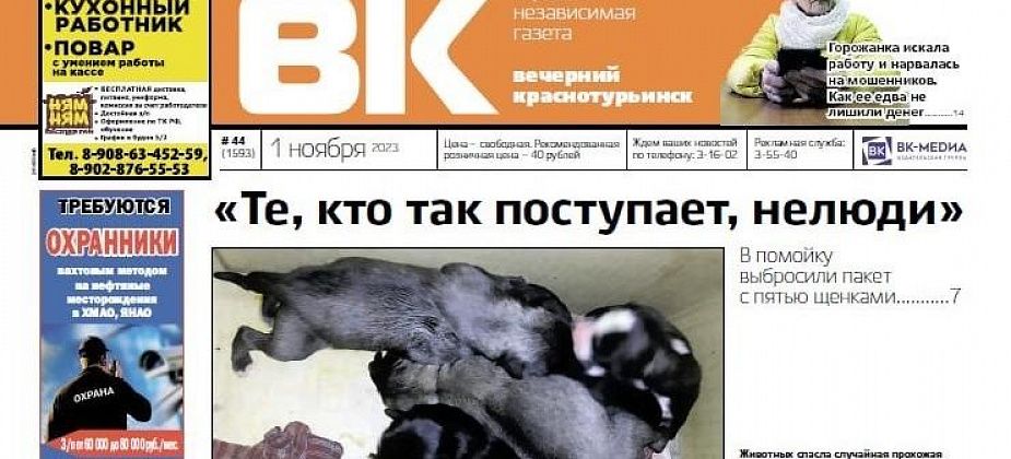 Горожанка спасла выброшенных в помойку щенков, а жители дома по Микова жаловались, что замерзают