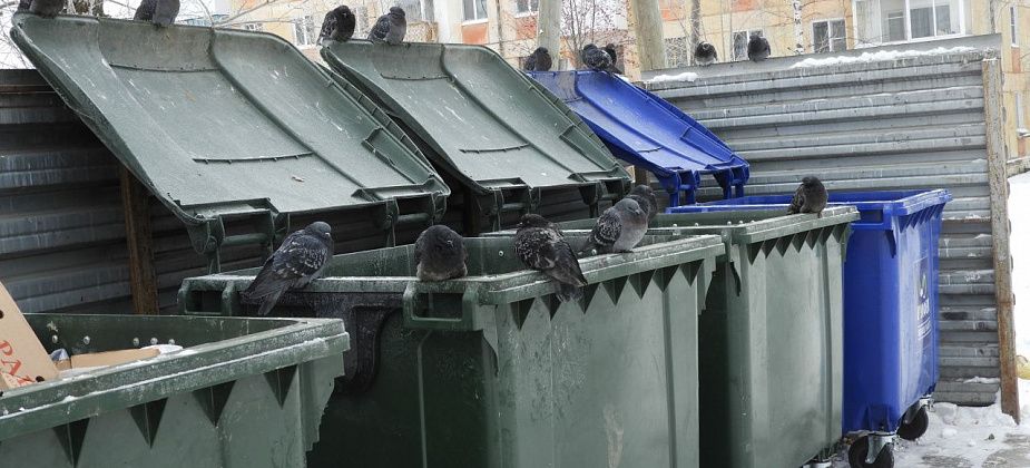 В Краснотурьинске планируют реконструировать более 50 мусорных площадок
