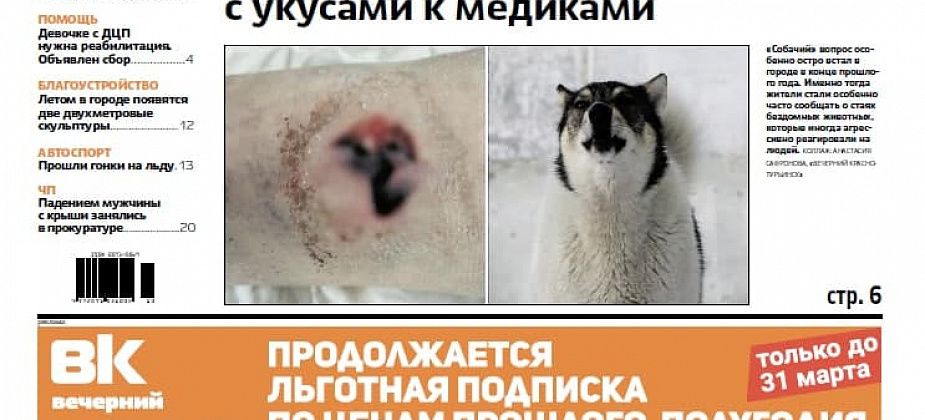«Собачьи» проблемы, газификация частного сектора и новые скульптуры – читаем в свежей «Вечерке»