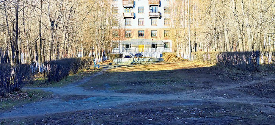 Попытка №2. Тихомировский парк планируют оснастить бесплатным интернетом