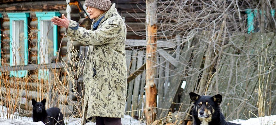 Жители Медной Шахты жалуются на соседских псов: "Собаки кидаются на детей”