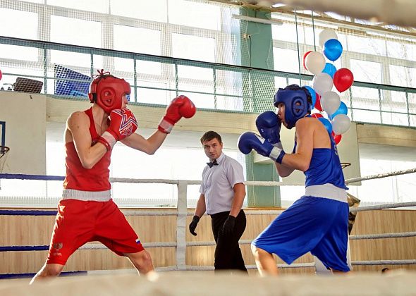 В Краснотурьинске пройдет первенство области по боксу