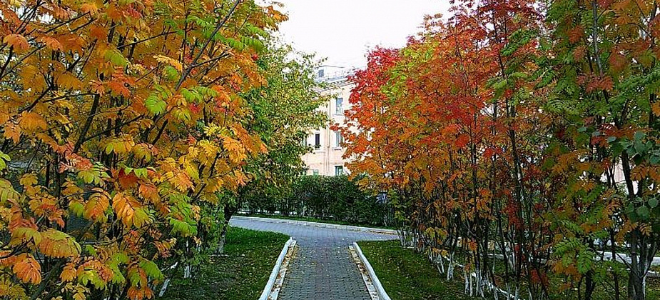 30 ярких кадров сентября: фотоколлекция для настроения
