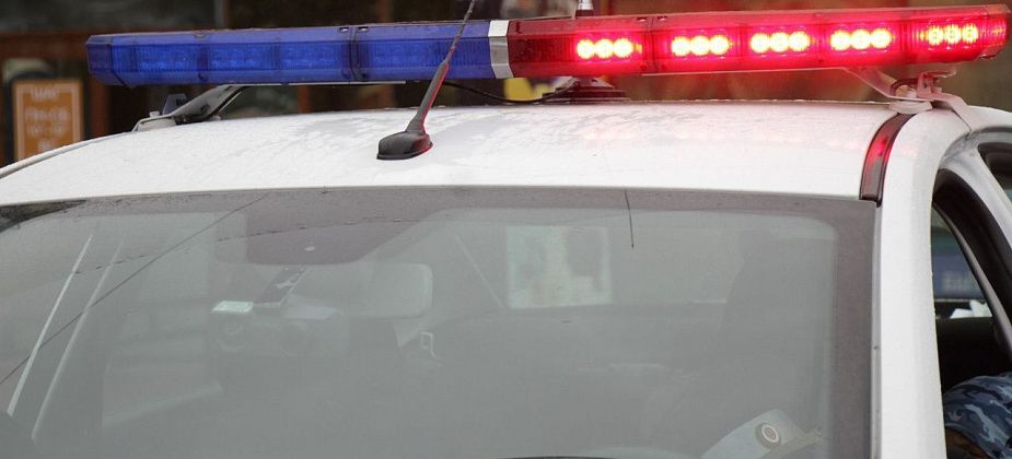 Сотрудники Госавтоинспекции Краснотурьинска устанавливают причины смертельного ДТП на трассе