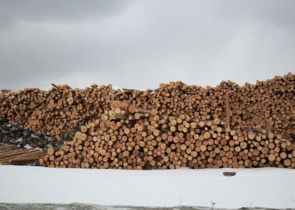 В Краснотурьинске определили предельную стоимость дров
