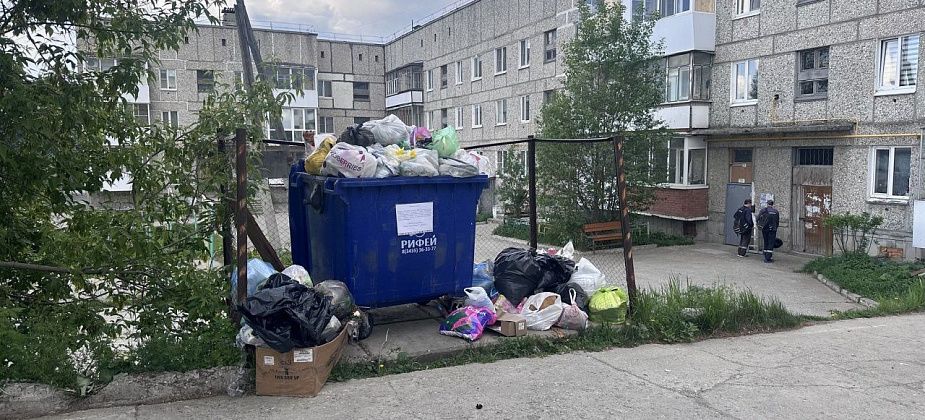 Горожане пожаловались на скопление отходов у домов по улице Октябрьской