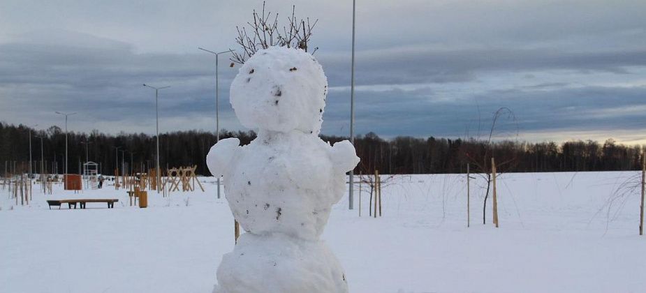 На севере области похолодает до -29 градусов