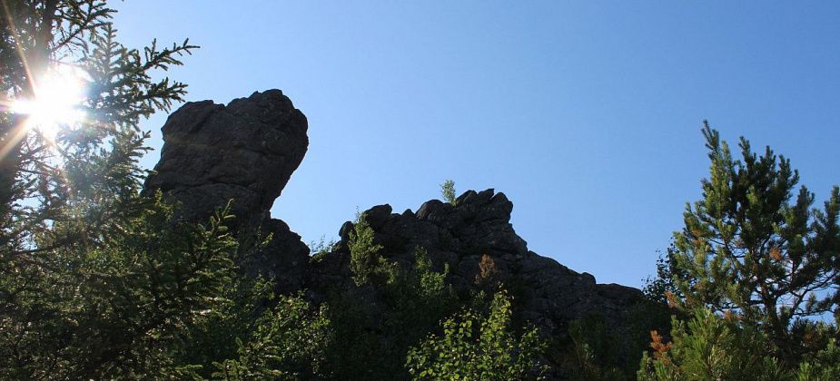 «Нужны опытные люди»: дочь пропавшего под Карпинском екатеринбуржца рассказала о поисках отца