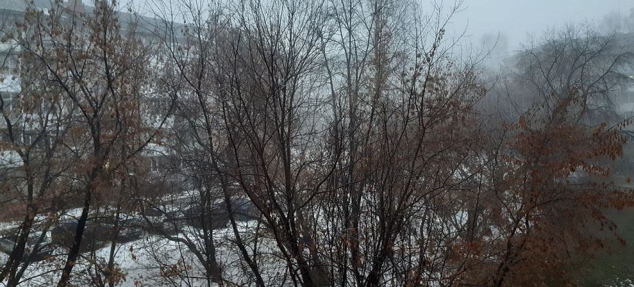 Снег с дождем, гололед прогнозируют синоптики на севере Свердловской области