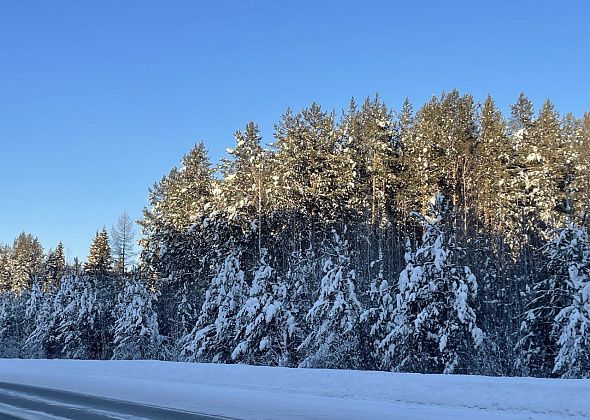 В ближайшие дни синоптики обещают слабоморозную погоду