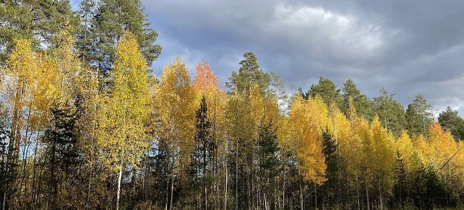 Тепло на север области вернулось на неделю