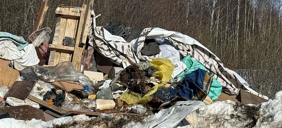 Прокуратура просит сообщать о несанкционированных свалках
