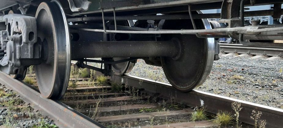 Ребенку пришлось вызывать "Скорую". Родители, недовольные поездкой на поезде, судятся с перевозчиком