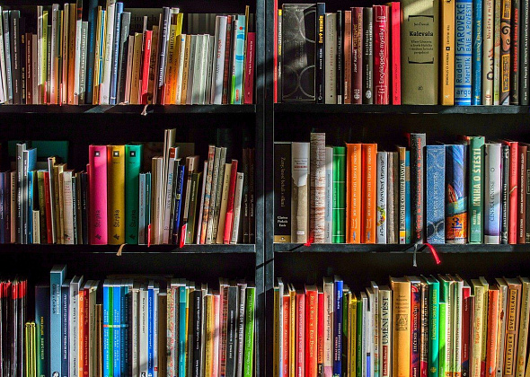 В центральную библиотеку привезли новые книги