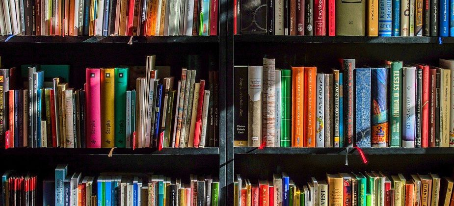 В центральную библиотеку привезли новые книги