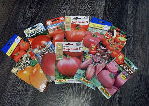 Открываем дачный сезон. Готовим почву для рассады и знакомимся с сортами-новинками