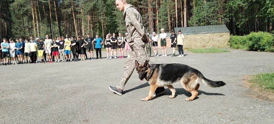 Служебные собаки из колонии выступили перед школьниками