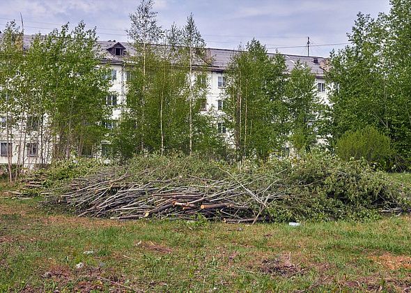 Зачем возле Пенсионного фонда срубили деревья?