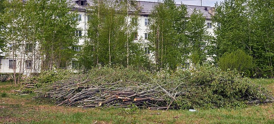 Зачем возле Пенсионного фонда срубили деревья?