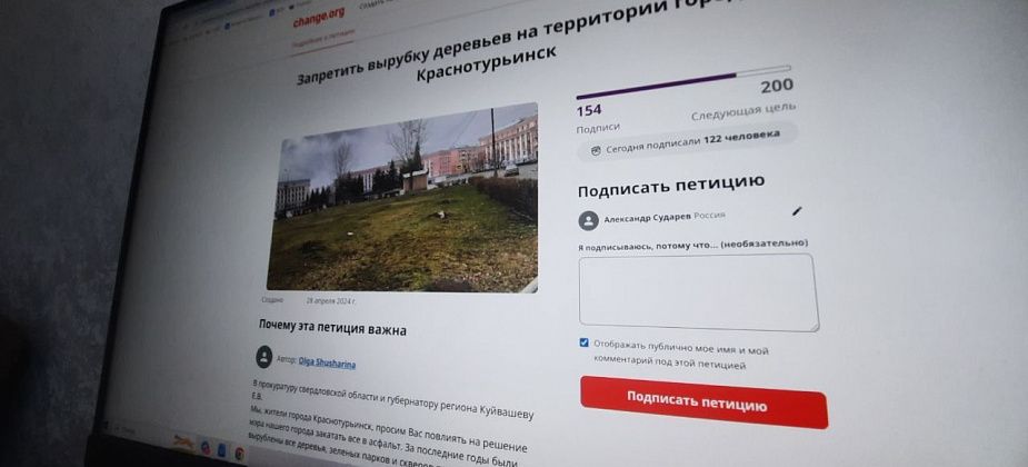 Автор петиции о запрете вырубки деревьев в Краснотурьинске рассказала, почему создала обращение