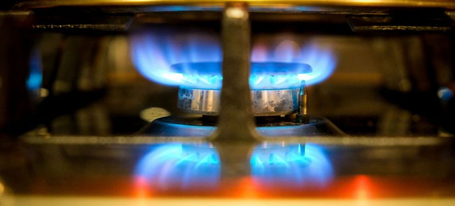 Начались поиски проектировщиков для стройки газопровода на Медном Руднике
