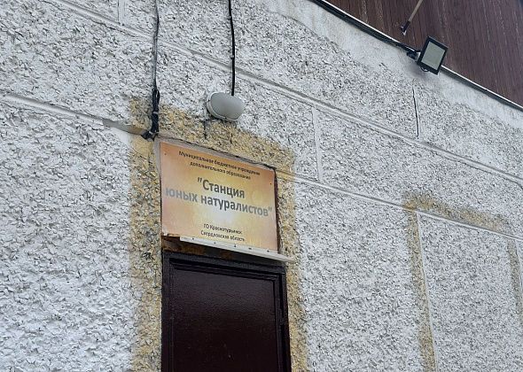 Юные экологи из Краснотурьинска стали лучшими на областном слете