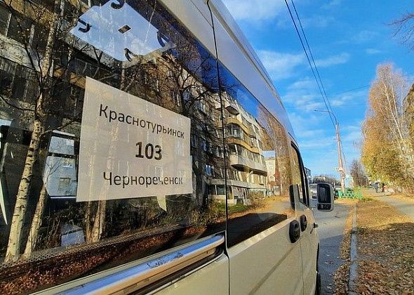 Ищут подрядчика на перевозку пассажиров в Брусничный, Чернореченск и на Малую Лимку