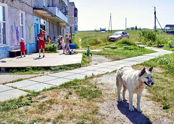 Инспекторы рассказали юным жителям Прибрежного, как безопасно вести себя на сельских дорогах