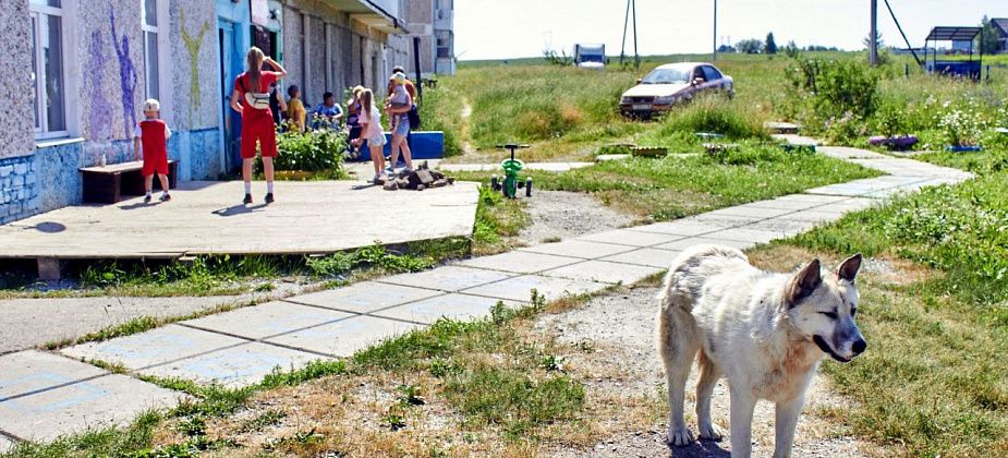 Инспекторы рассказали юным жителям Прибрежного, как безопасно вести себя на сельских дорогах