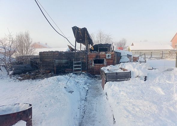 В Краснотурьинске пожар унес жизни свыше 180 птиц