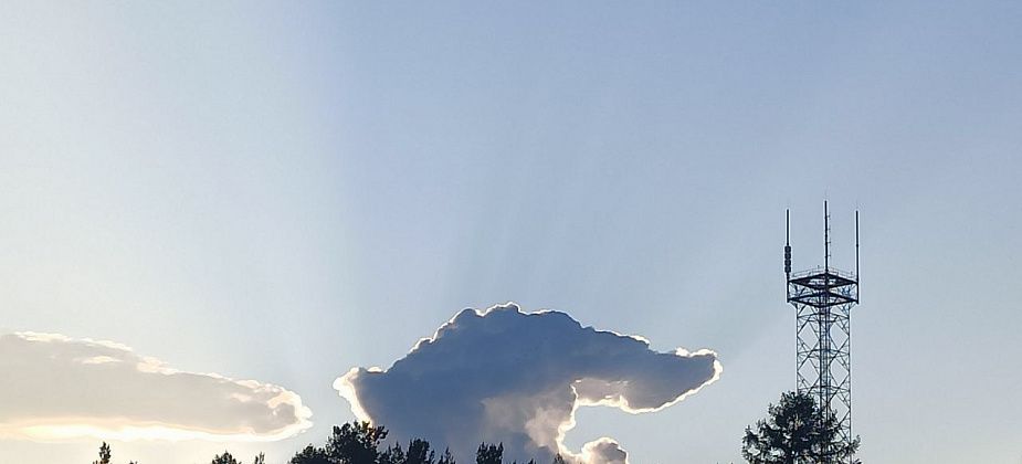 Приметы на 23 августа. Умываемся росой, не ходим в лес