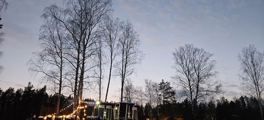 В новогодние каникулы свердловчане выбирают сон