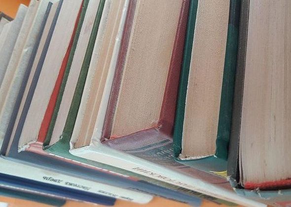 Для пациентов детской больницы православные активисты собрали 300 книг